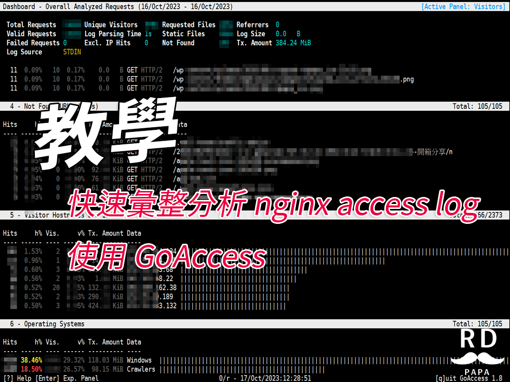  ngnix nginx access log goaccess rd 